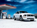 Mustang V6 Pony