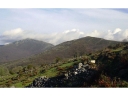 SIERRA DE MADRID - CUENCA DEL LOZOYA IV