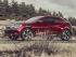 CITROEN DS WILD RUBIS
