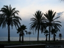 LA RUTA DEL SOL Y EL AGUACATE
