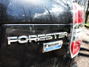 Forester-17