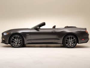 Mustang-02