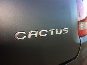 Cactus-27