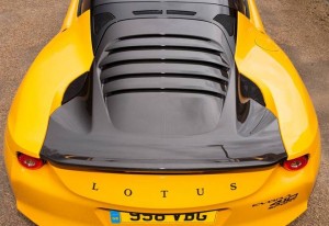 Lotus 08