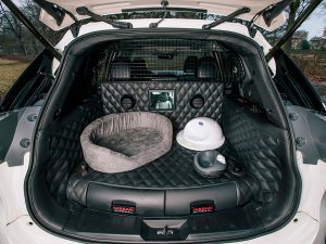 Nissan X-Trail 4DOGS perfecto para aventuras familiares