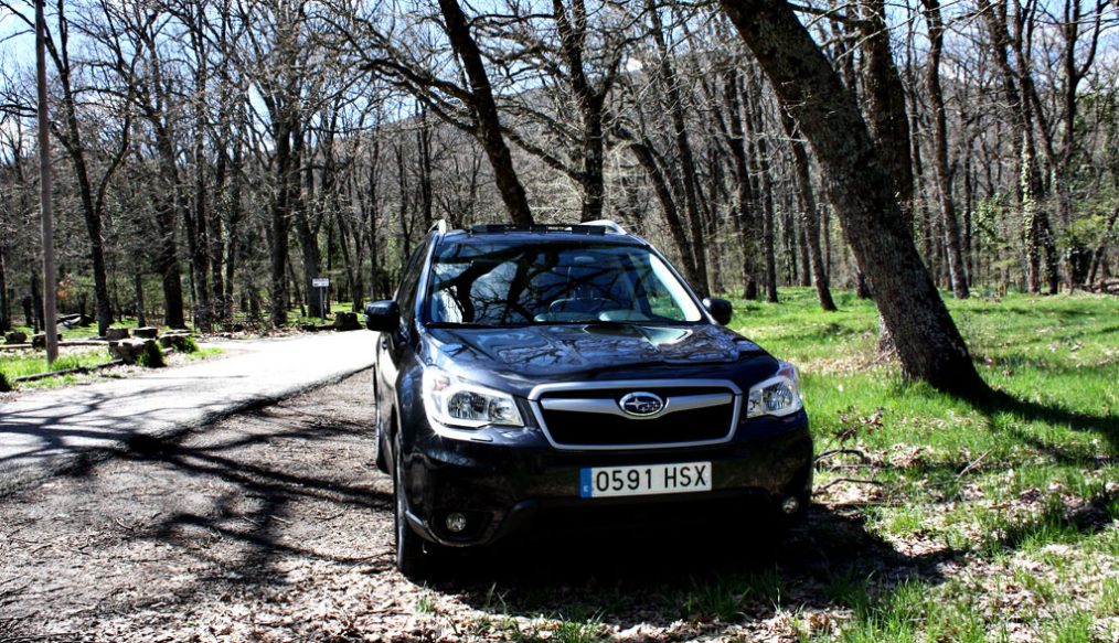 PRUEBA SUBARU FORESTER 2.0 BÓXER DIÉSEL