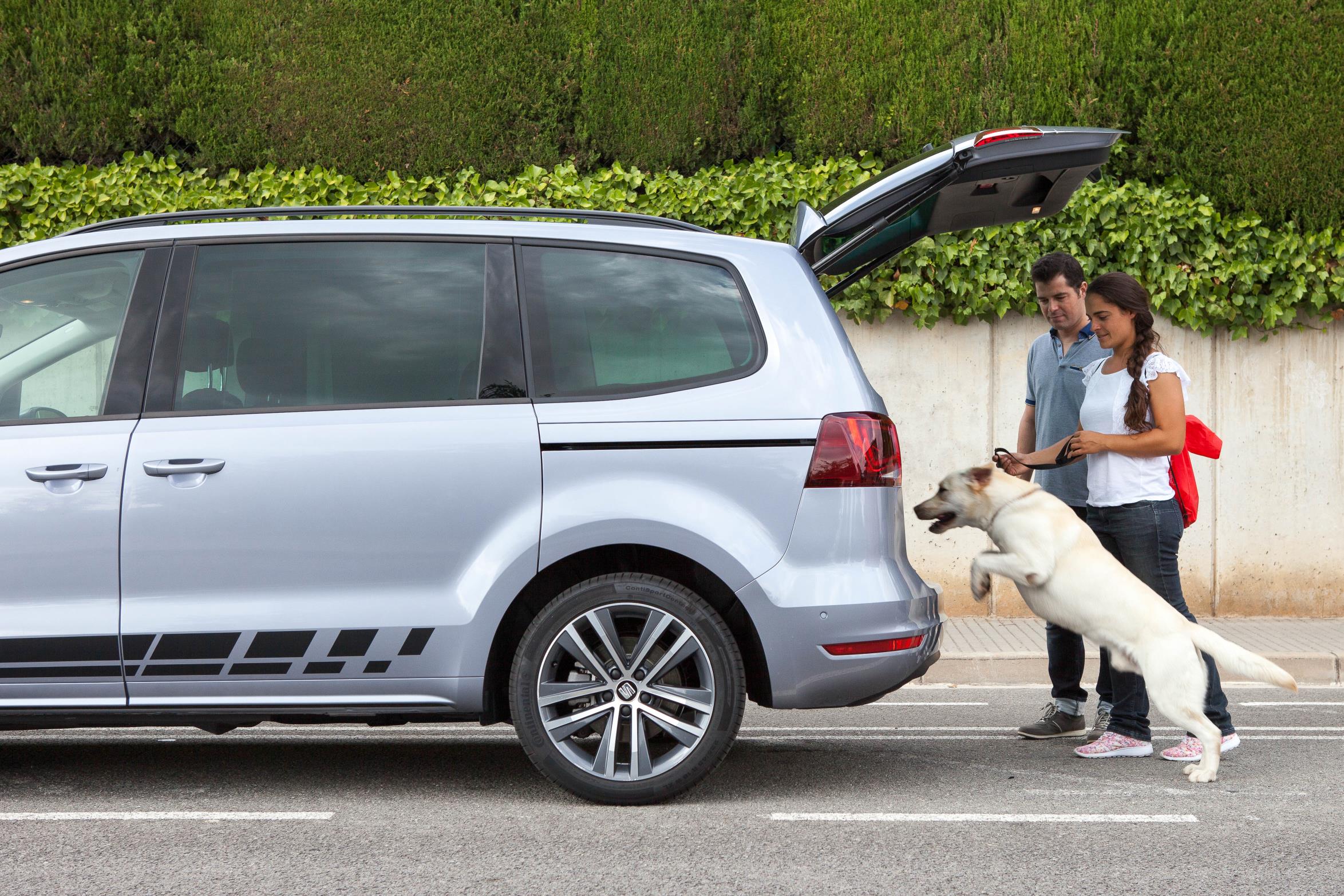 8 consejos para viajar con mascotas