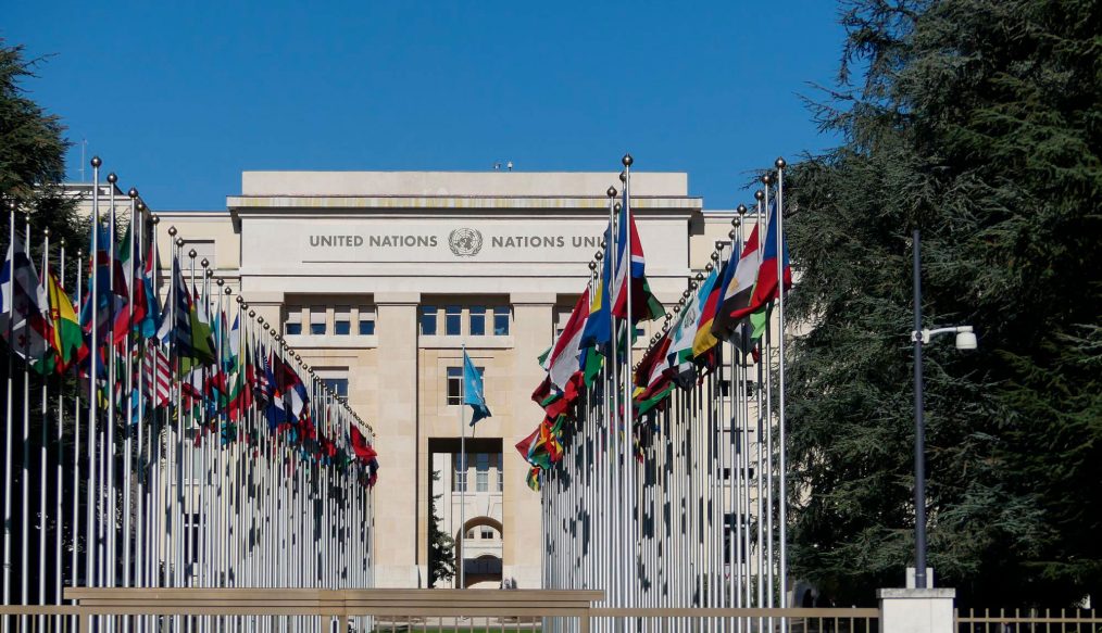 LA ONU Y EL RACE por la formación en Seguridad Vial