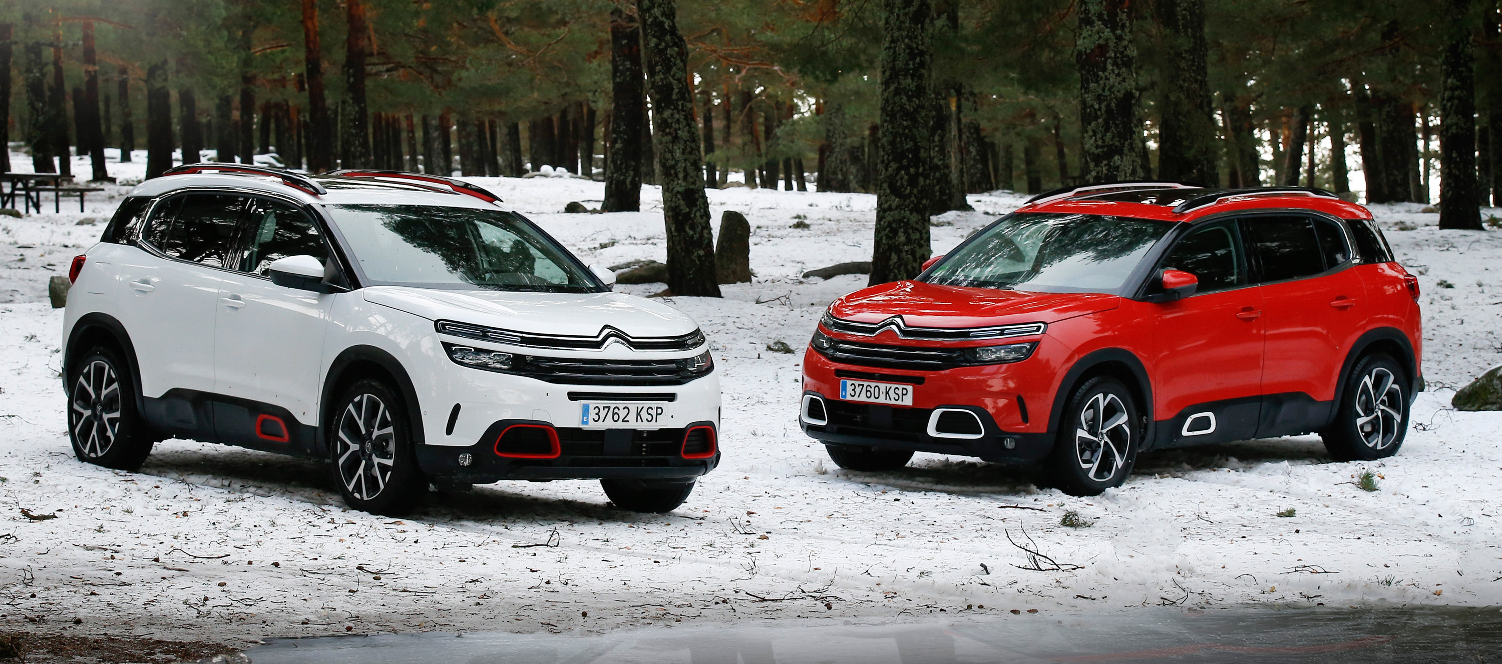 Citroën C5 Aircross, para cualquier terreno por duro que sea