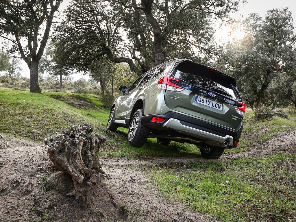 Nuevo Subaru Forester ECO Hybrid