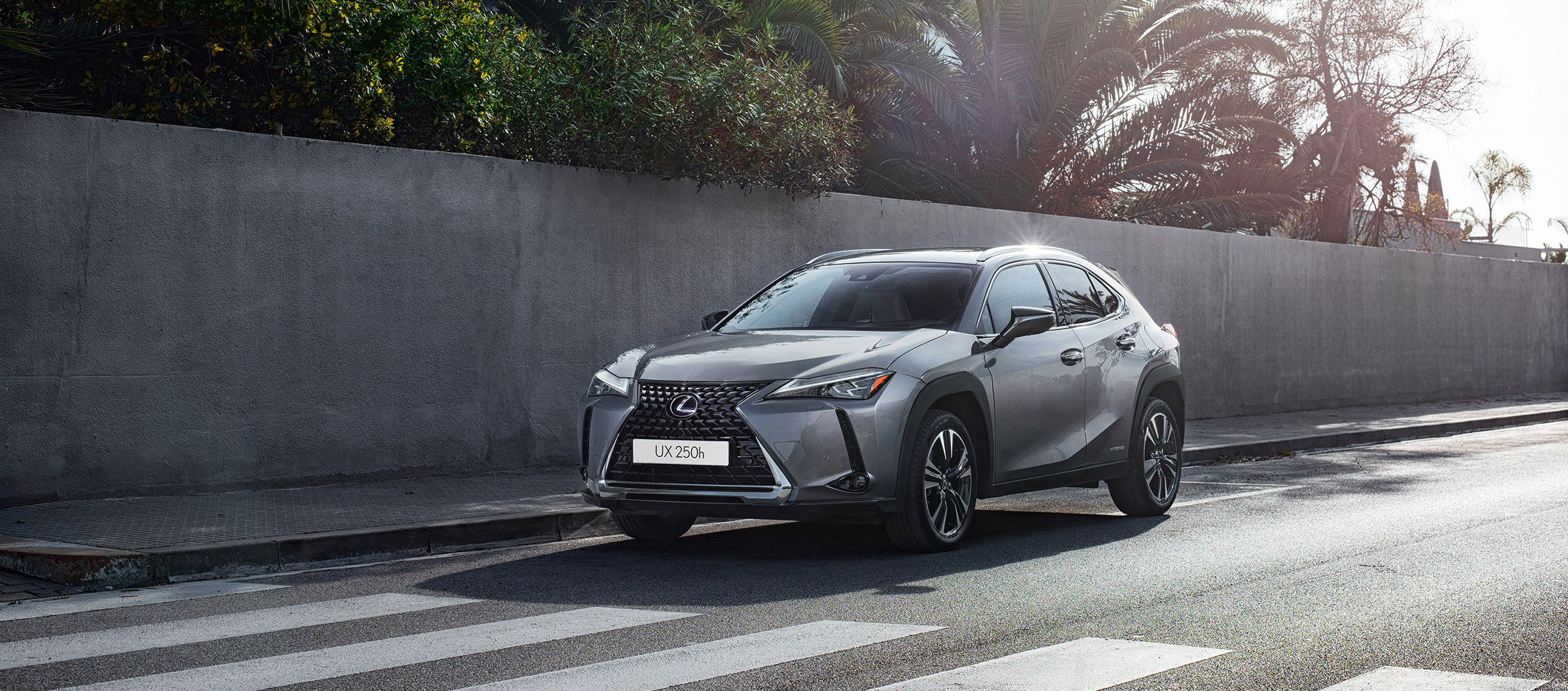 Lexus UX 250h Executive Plus