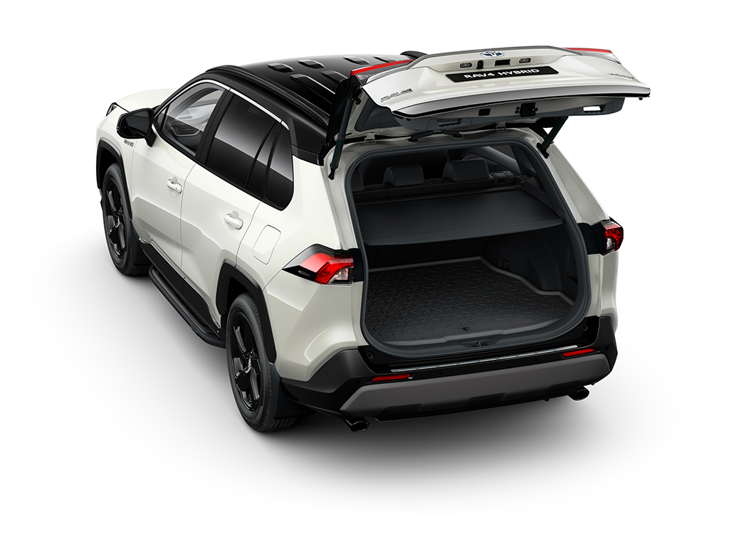 Toyota RAV4 Electric Hybrid Custom