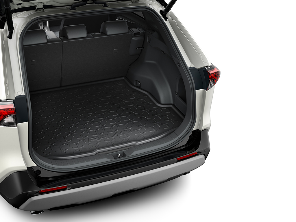 Toyota RAV4 Electric Hybrid Custom