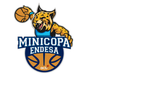 Toyota España patrocina la Mini Copa Endesa de Basket