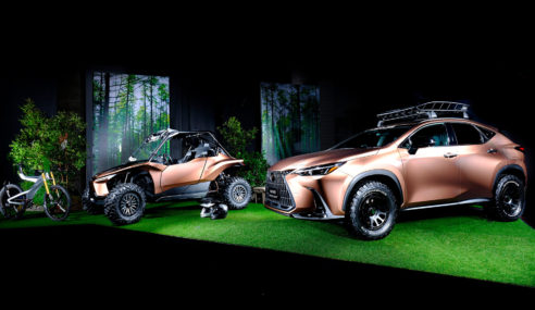 Lexus NX OffRoad PHEV