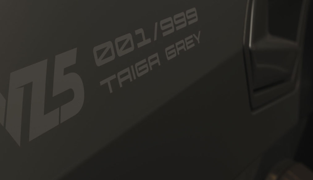 CUPRA Formentor VZ5 Taiga Grey