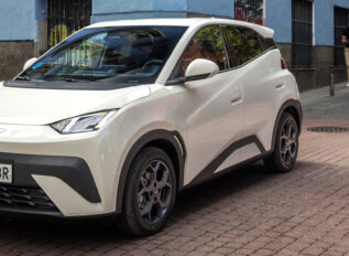 Nuevo BYD Dolphin Surf