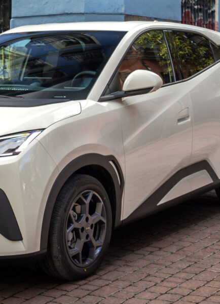 Nuevo BYD Dolphin Surf